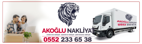 Kayseri Profesyonel Taşımacılık